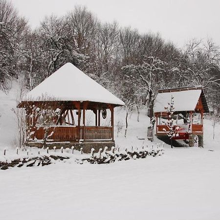 Pensiunea La Gorgan Vadu Izei Bagian luar foto