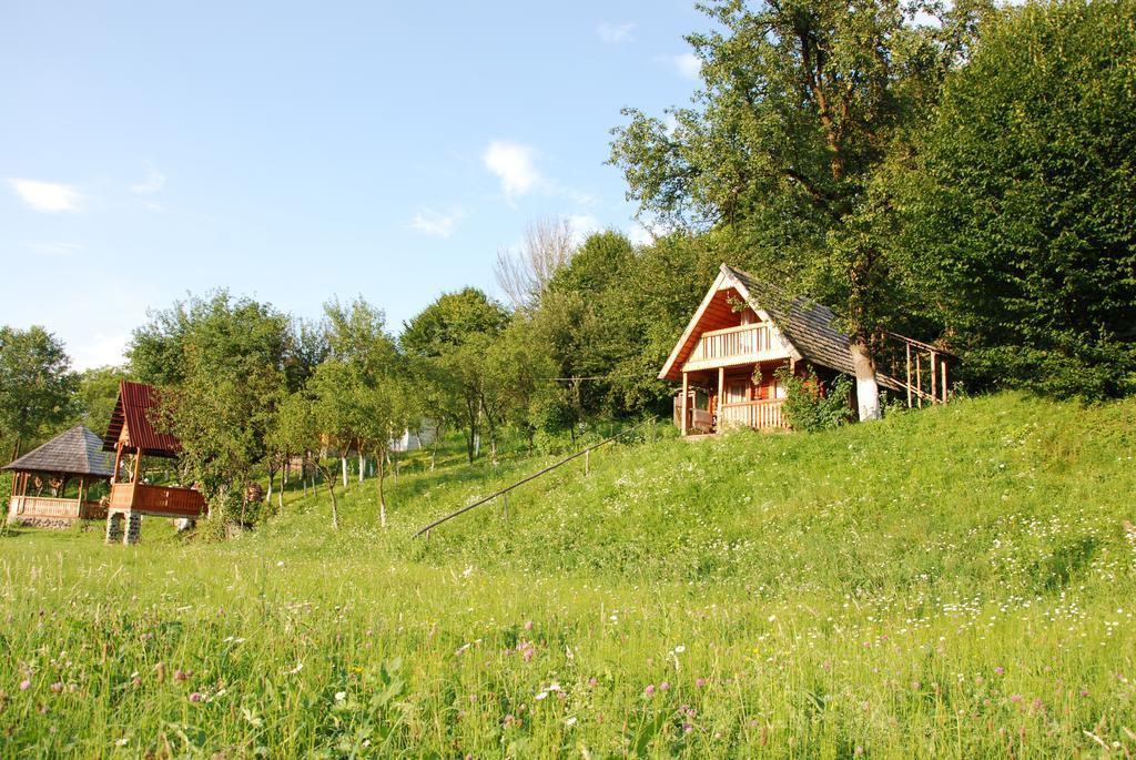Pensiunea La Gorgan Vadu Izei Bagian luar foto