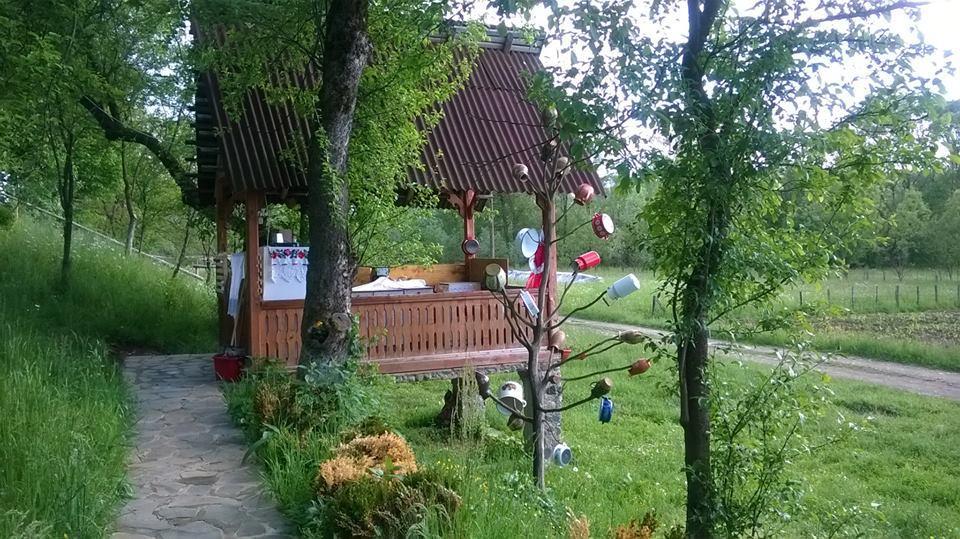 Pensiunea La Gorgan Vadu Izei Bagian luar foto