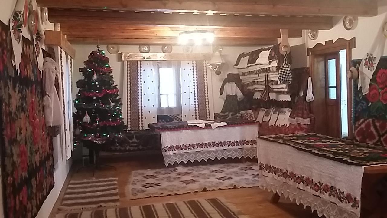 Pensiunea La Gorgan Vadu Izei Bagian luar foto