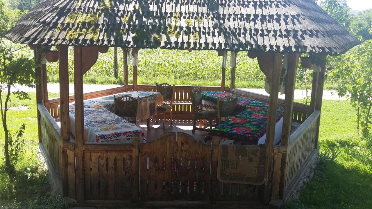 Pensiunea La Gorgan Vadu Izei Bagian luar foto